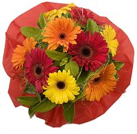 Florist Mitcham - Gerbera Bouquet